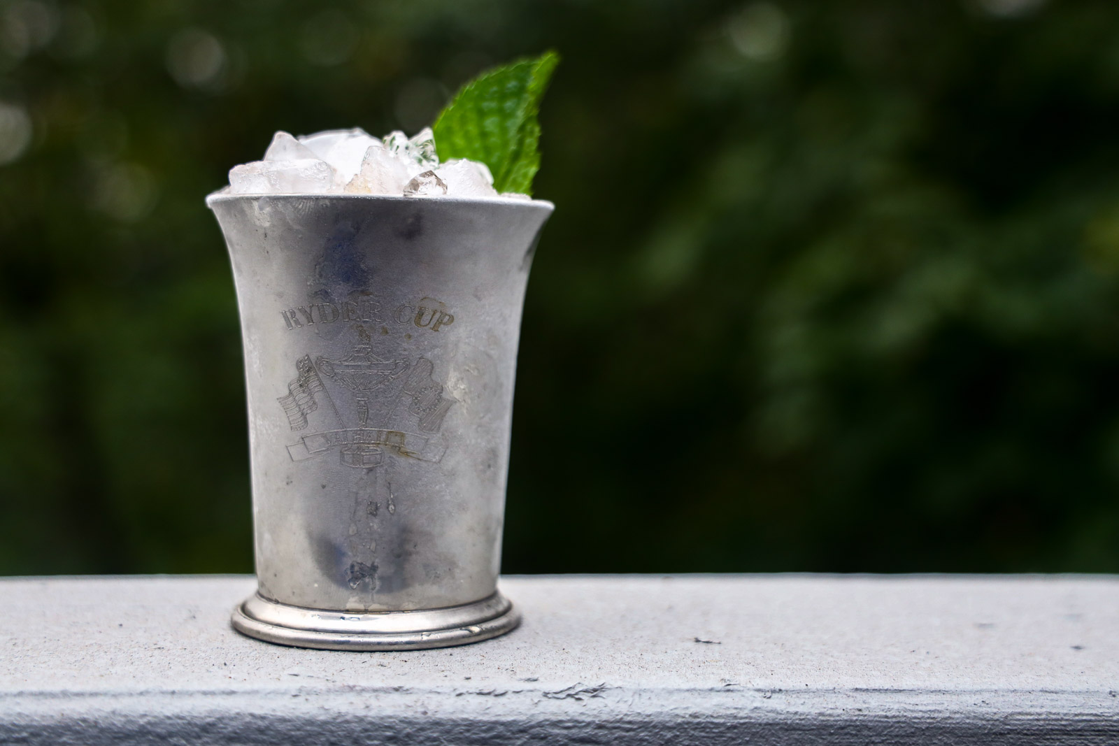 Mint julep cocktail