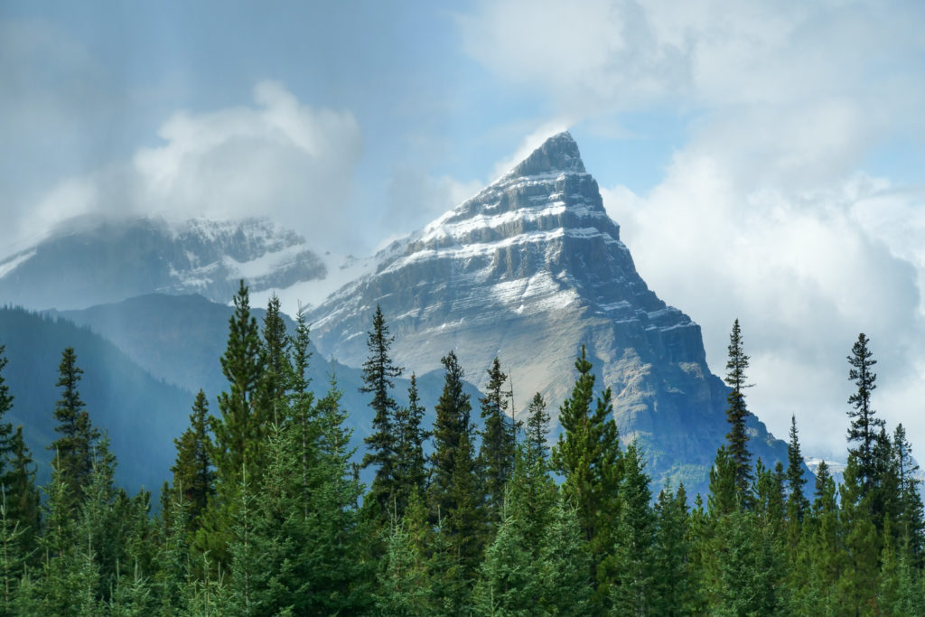 Highway 93 from Jasper to Banff Drive.